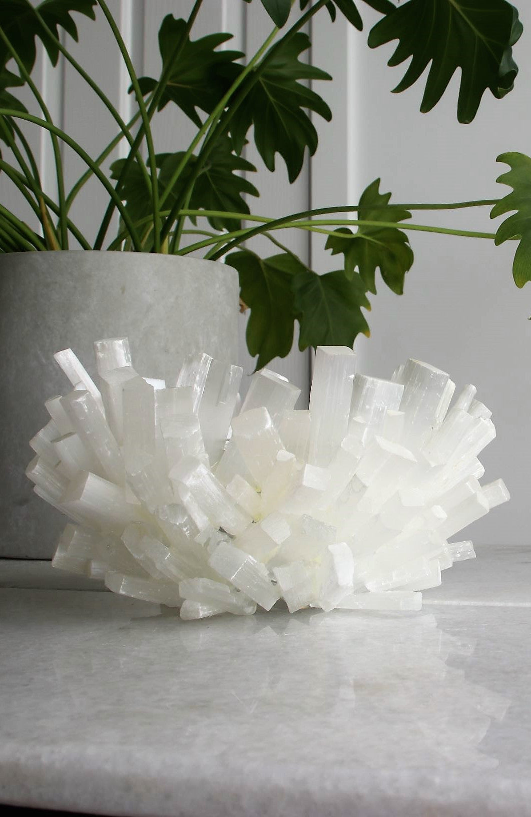 Selenite Bowl